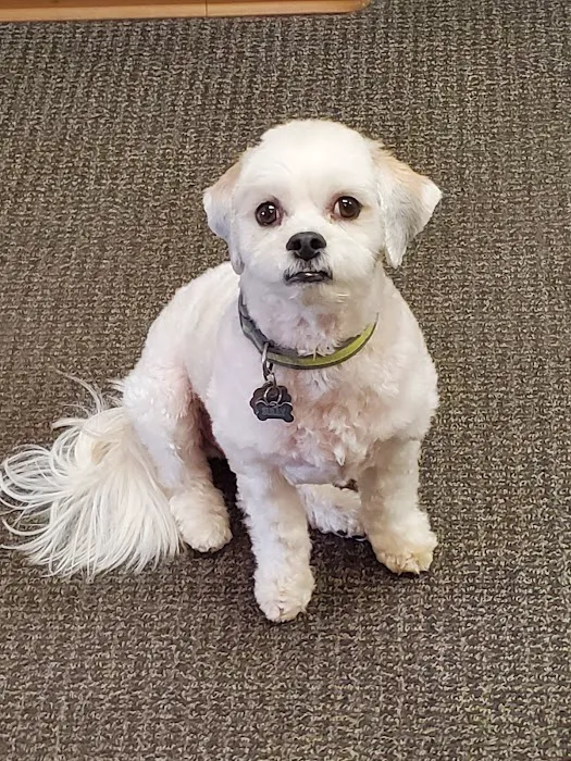 Nicollet Veterinary Clinic 1