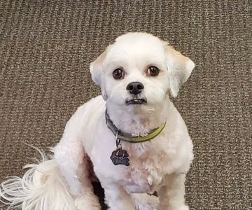 Nicollet Veterinary Clinic