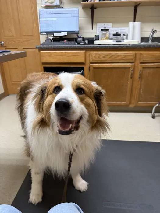 Nicollet Veterinary Clinic 3