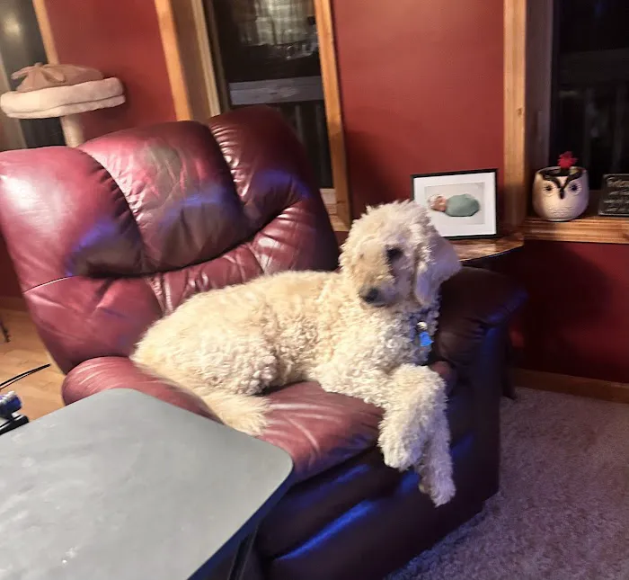 Summers Ridge Veterinary Clinic 12