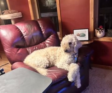 Summers Ridge Veterinary Clinic