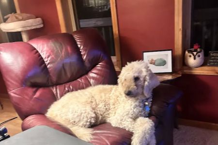 Summers Ridge Veterinary Clinic