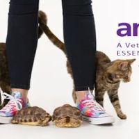 animalEO Essential Oils for Animals: Crow River Animal Hospital LTD ico