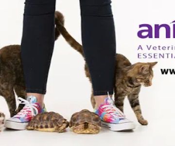 animalEO Essential Oils for Animals: Crow River Animal Hospital LTD