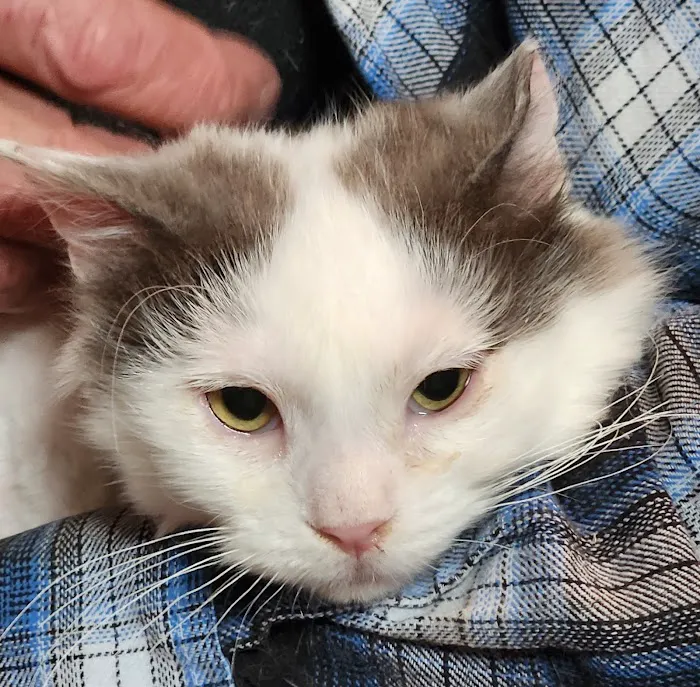 Kimball Veterinary Clinic 8