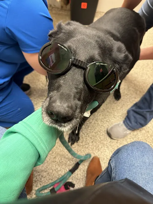 Litchfield Veterinary Clinic 2