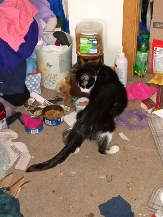 Litchfield Veterinary Clinic 7