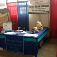 Equine Dental Services LLC ico