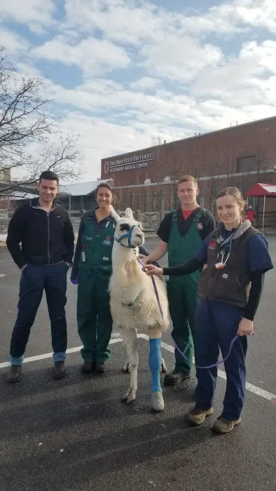 Ohio State University Large Animal Services 12
