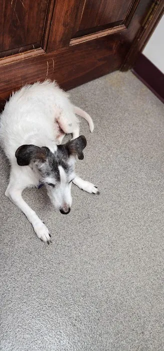 Woodside Veterinary Hospital 12