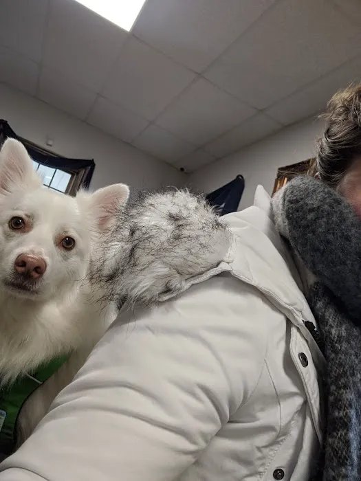 Woodside Veterinary Hospital 12