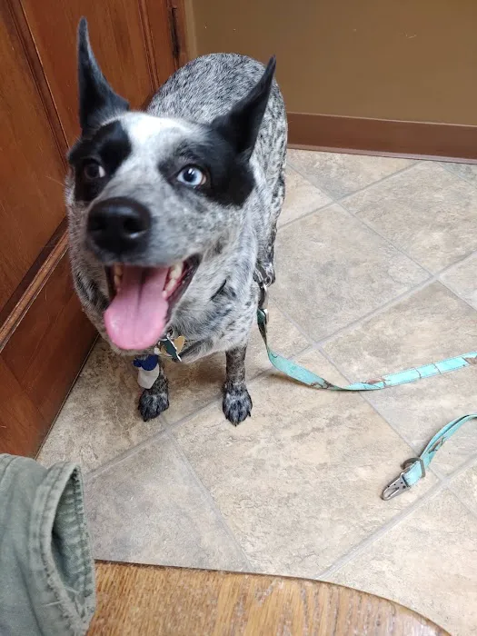 Marysville Animal Care Center 12