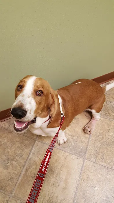 Marysville Animal Care Center 12