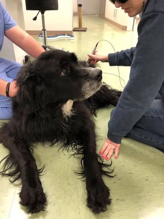 Himler Veterinary Services LLC 12