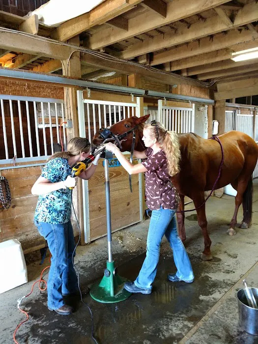 Himler Veterinary Services LLC 12