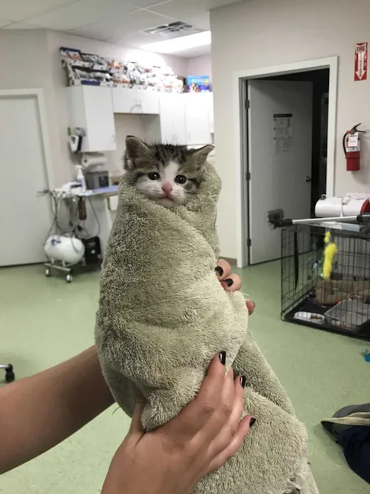 Himler Veterinary Services LLC 12