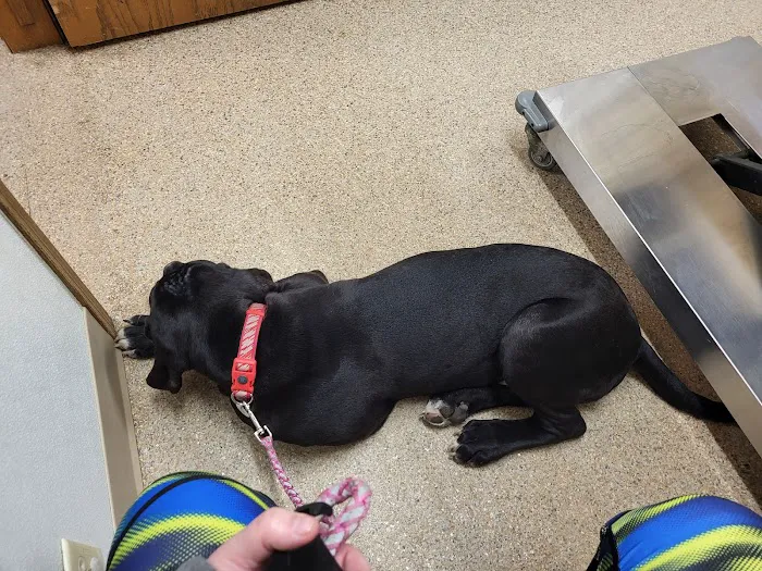Maple Run Veterinary Clinic LLC 6