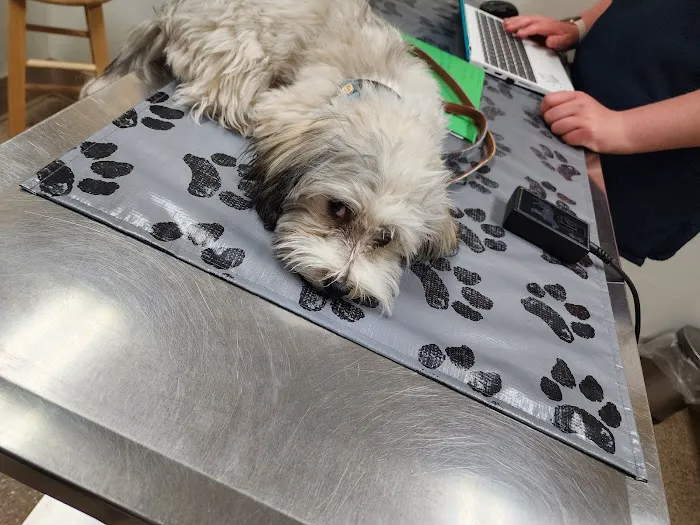 Maple Run Veterinary Clinic LLC 4