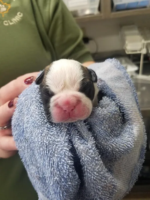 Maple Run Veterinary Clinic LLC 7