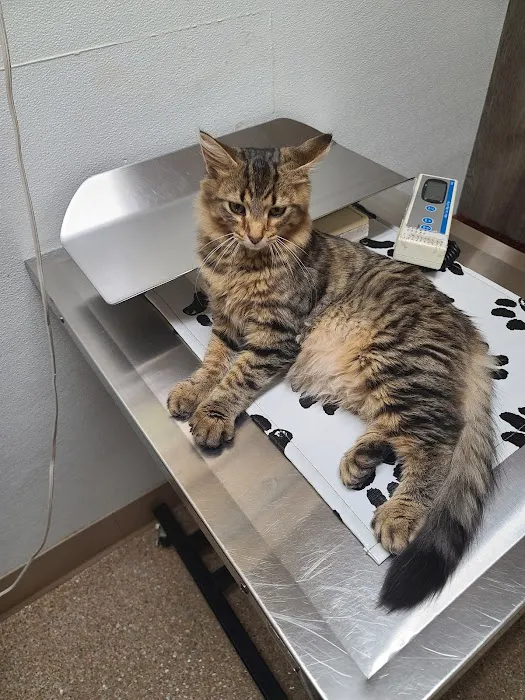 Maple Run Veterinary Clinic LLC 10