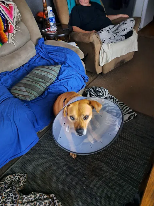 Oberlin Animal Hospital 2
