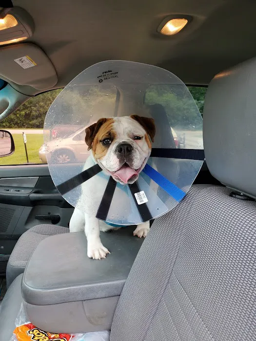 Oberlin Animal Hospital 7