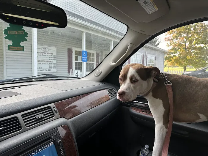 Oberlin Animal Hospital 6