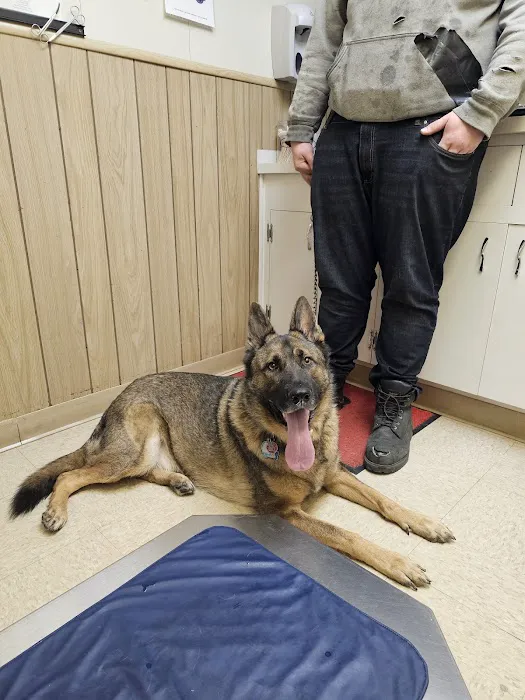 Elyria Animal Hospital 8