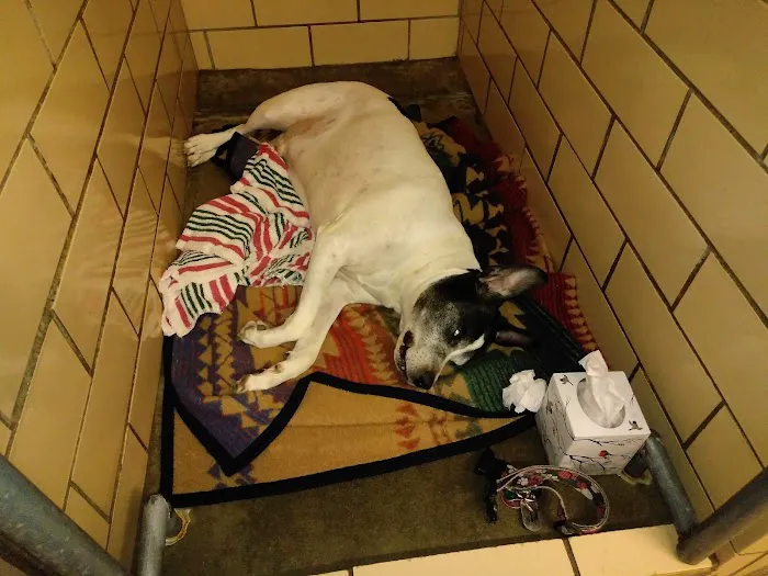 Elyria Animal Hospital 1