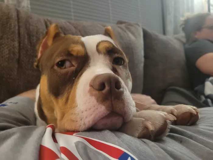 Elyria Animal Hospital 10