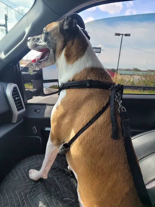 Elyria Animal Hospital 7