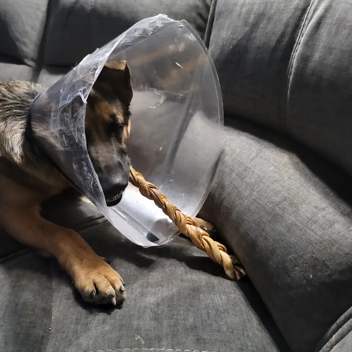 Fox Veterinary Hospital 10