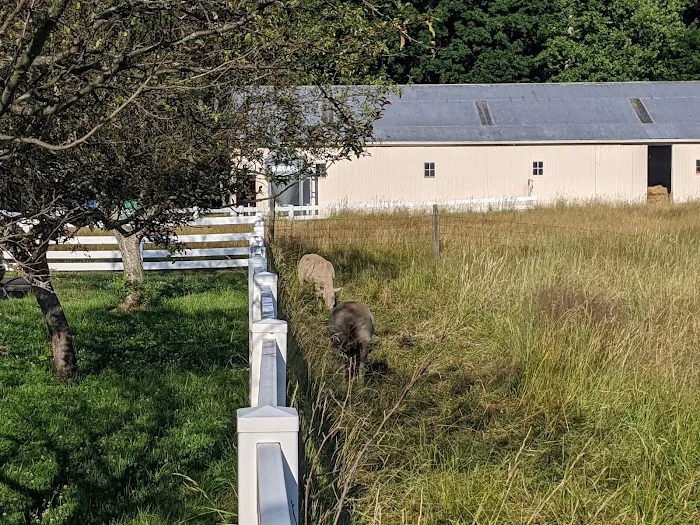 Fox Veterinary Hospital 9