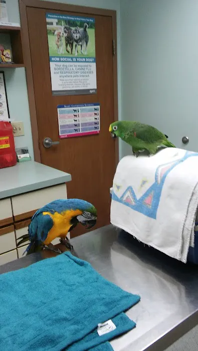 Fox Veterinary Hospital 7
