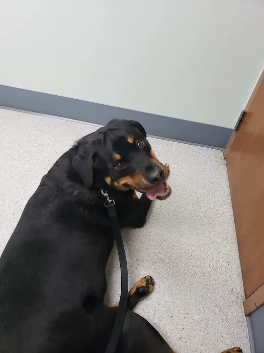 Fox Veterinary Hospital 3