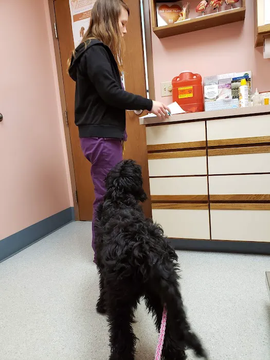 Fox Veterinary Hospital 2