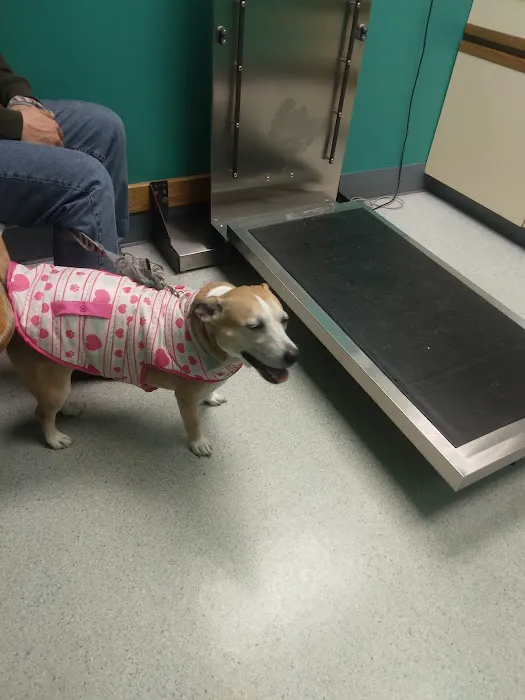 Fox Veterinary Hospital 5