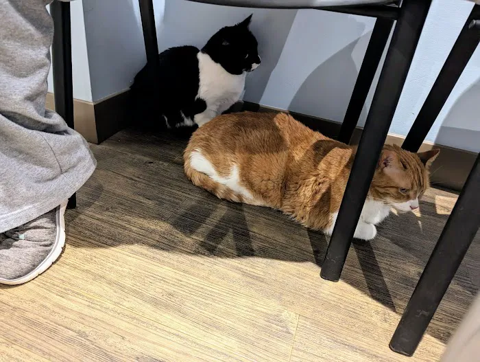 Ridgeville Animal Hospital 3