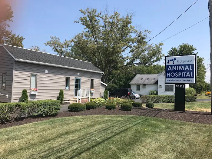 Ridgeville Animal Hospital 10