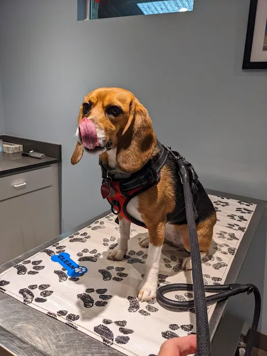 Ridgeville Animal Hospital 1
