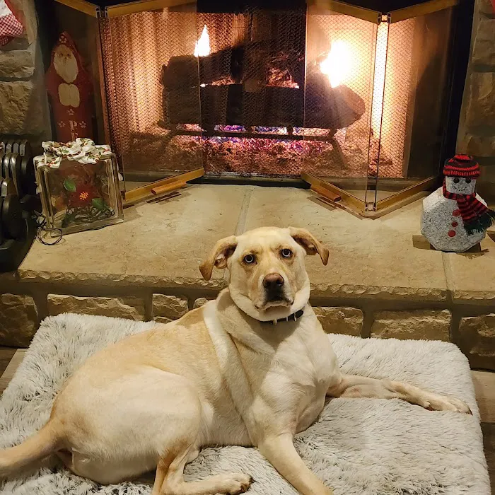 Ridgeville Animal Hospital 8
