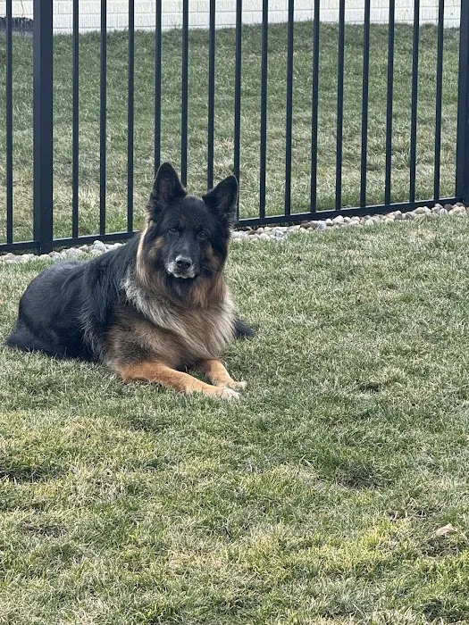 Ridgeville Animal Hospital 6