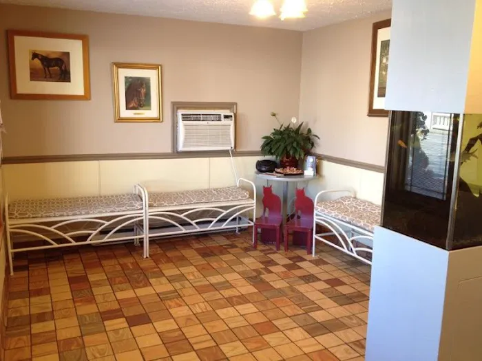 Avon Animal Hospital 12
