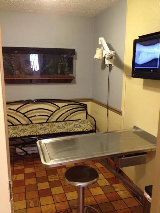Avon Animal Hospital 12