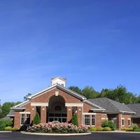 Animal Clinic Northview ico