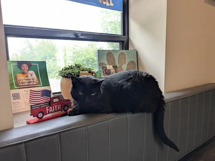 Lake Hills Veterinary Clinic 1
