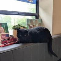 Lake Hills Veterinary Clinic ico