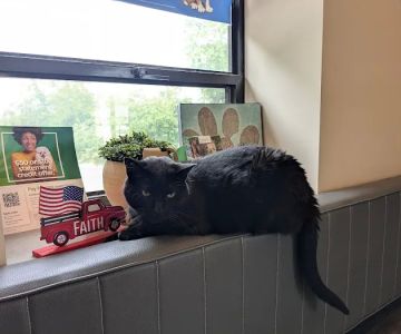 Lake Hills Veterinary Clinic