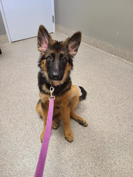 Lake Hills Veterinary Clinic 2