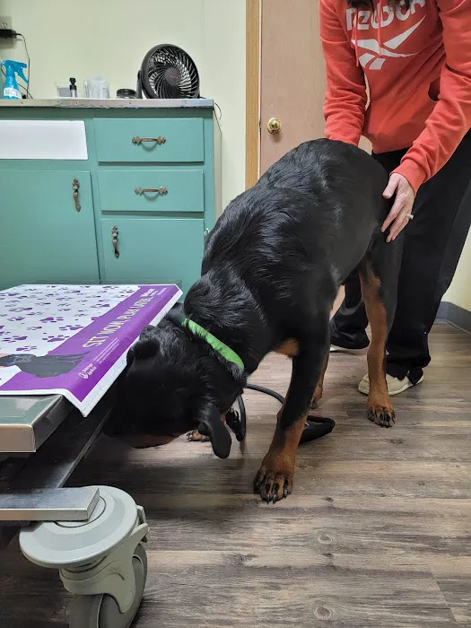 Versailles Veterinary Clinic 5